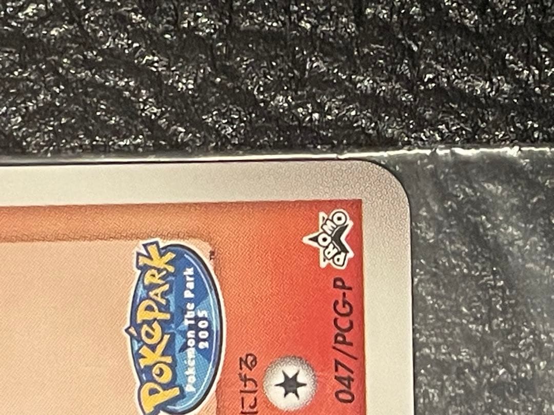 た*こ様 ポケパークのアチャモ