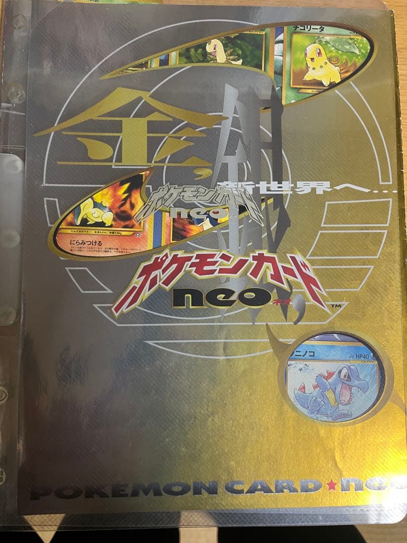 ポケモンカードと収納ボックスセット