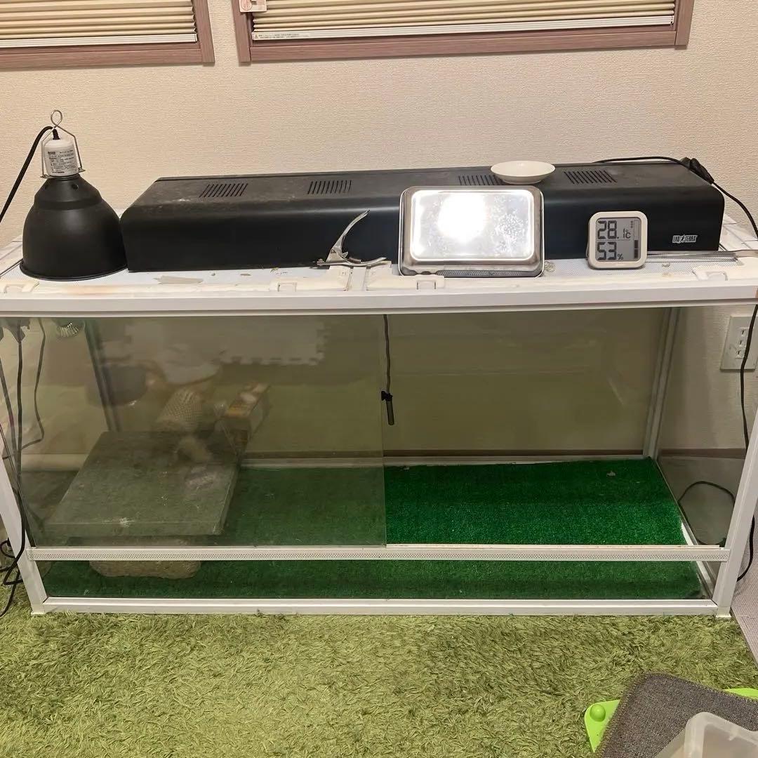 引き取り限定　爬虫類倶楽部　120×45×60ケージ中古