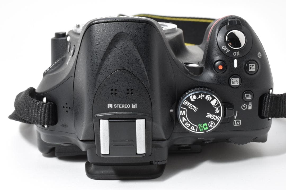 ★撮影枚数3913枚・超美品★ ニコン D5200 ボディ #21569