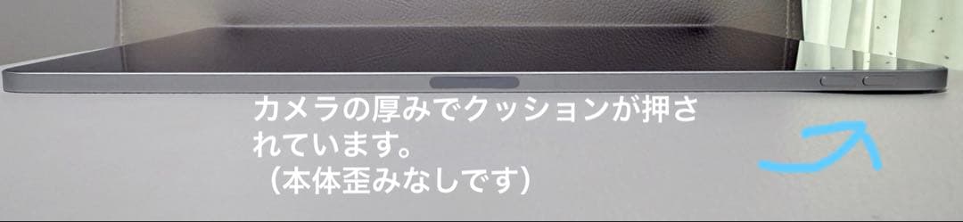 か*ぺ様 iPad Pro 12.9 第4世代 256GB Apple Penc