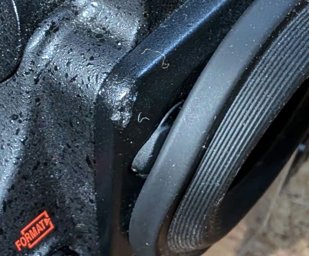 Nikon D800+バッテリーグリップ、64gbCFカード付き