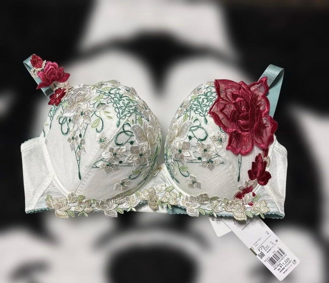 サルート16G P-UPブラF75＆ショーツL 3点セット