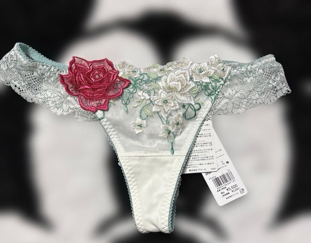 サルート16G P-UPブラF75＆ショーツL 3点セット