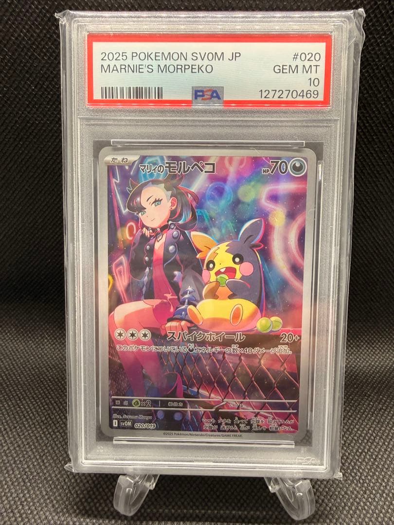 マリィのモルペコ SVOM スターターセットex マリィのモルペコ&オーロンゲ…