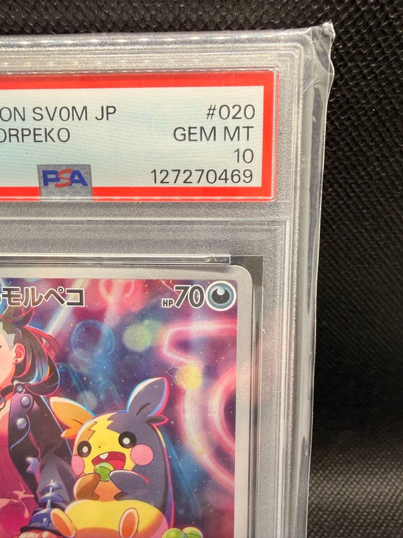 マリィのモルペコ SVOM スターターセットex マリィのモルペコ&オーロンゲ…