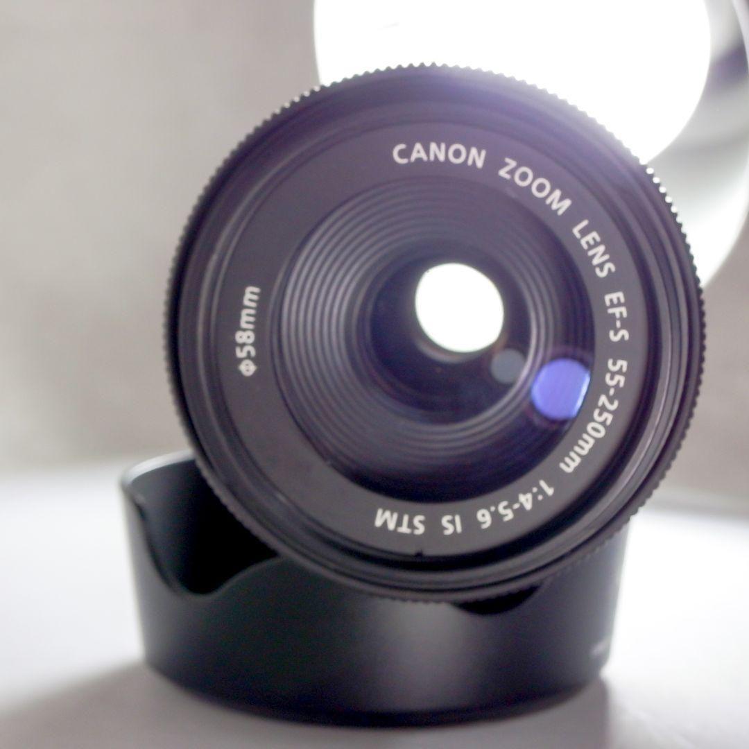 完動美品 Canon EF-S 55-250mm f4-5.6 IS STM