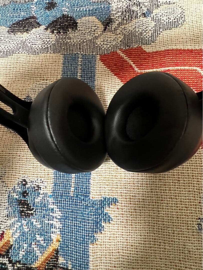 wasted youth beats verdy ワイヤレスヘッドホン