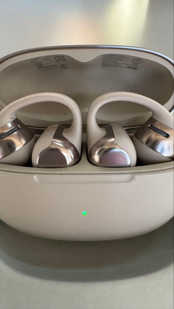 【使用回数2回】SHOKZ OPENDOTS ONE グレー