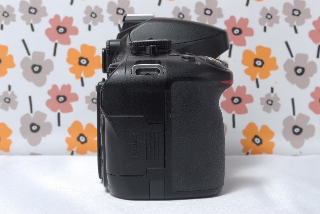 ❤Nikon D5100❤秋の行楽シーズンに❤Wレンズ❤スマホ転送OK❤美品❤