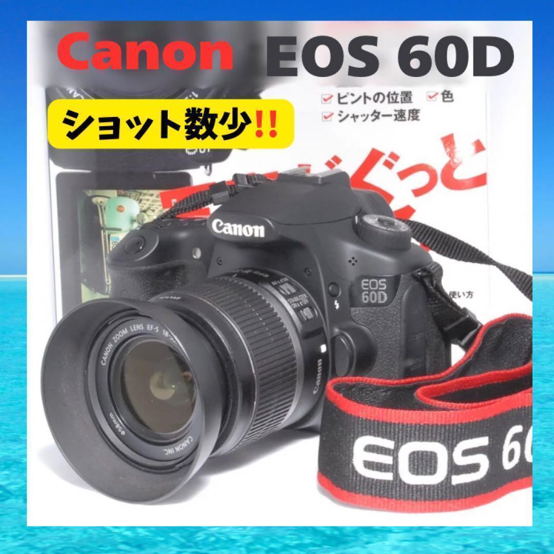 ショット数少ない美品⭐️ハイアマチュアモデル⭐️Canon EOS 60D