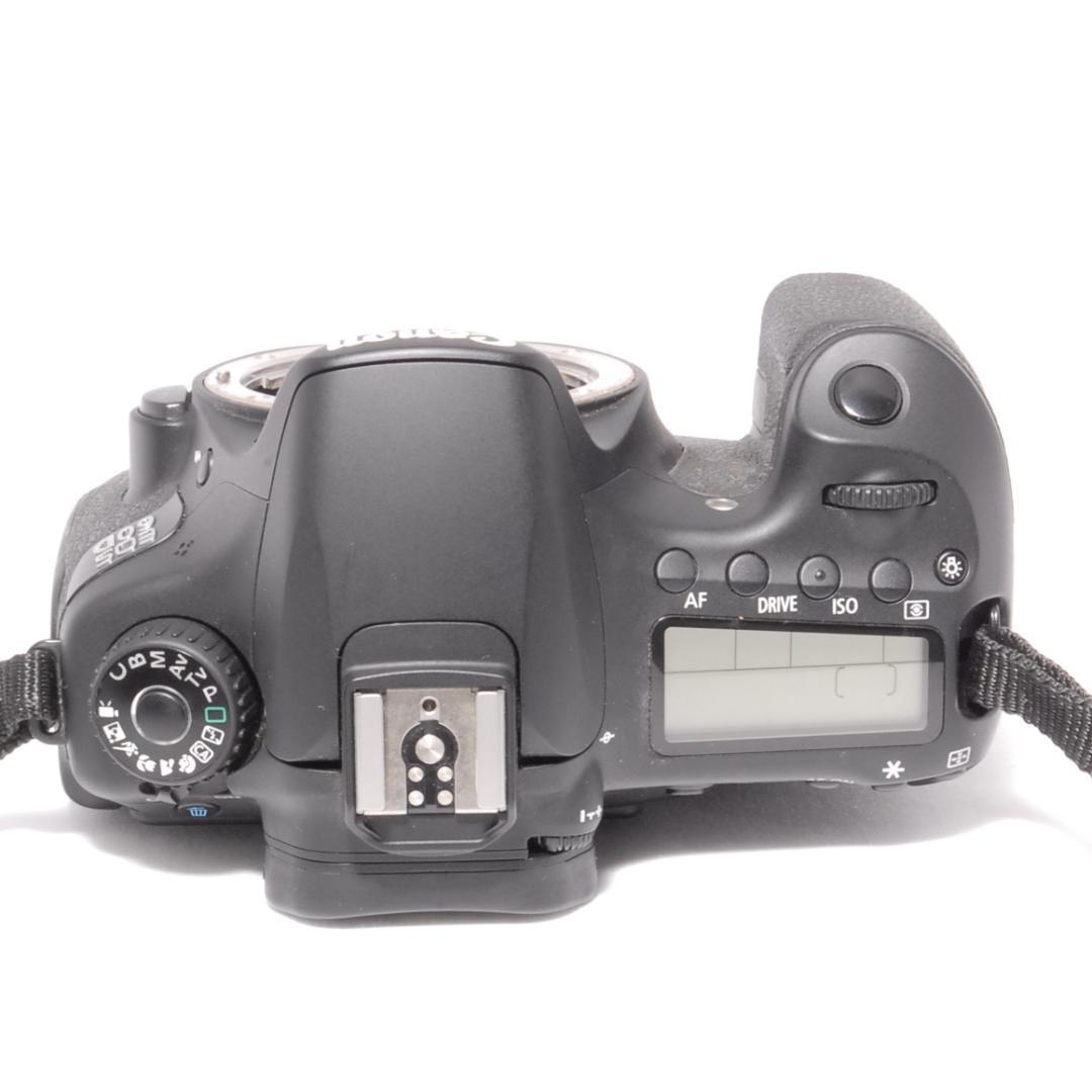 ショット数少ない美品⭐️ハイアマチュアモデル⭐️Canon EOS 60D