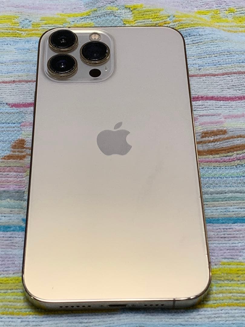 Apple iPhone 13 Pro Max 修理不可