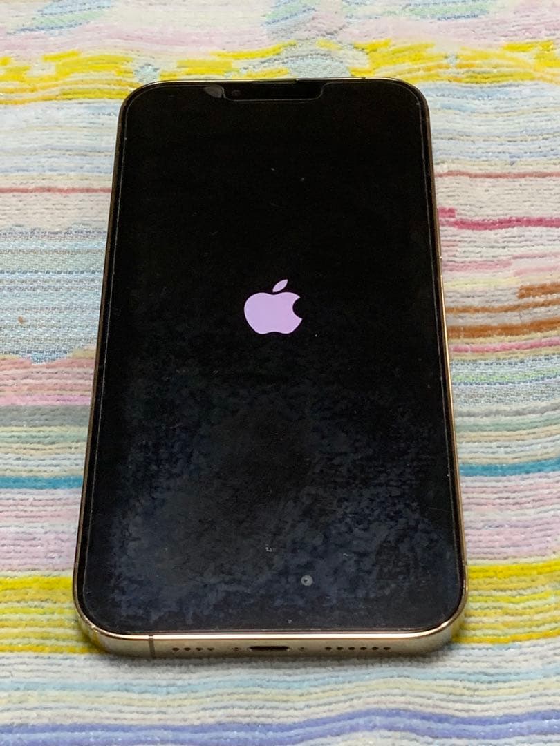 Apple iPhone 13 Pro Max 修理不可