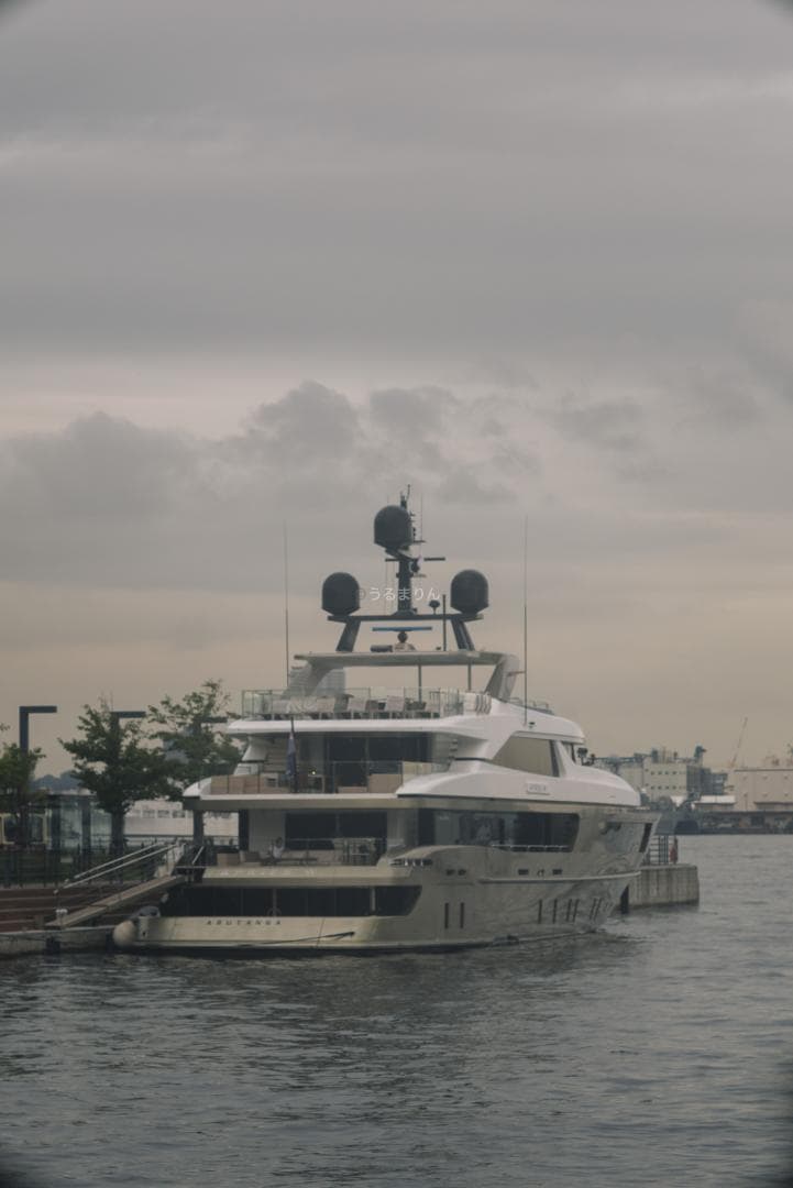 お買得品！希少黒！Leica Hektor 135mm F4.5 オールドレンズ