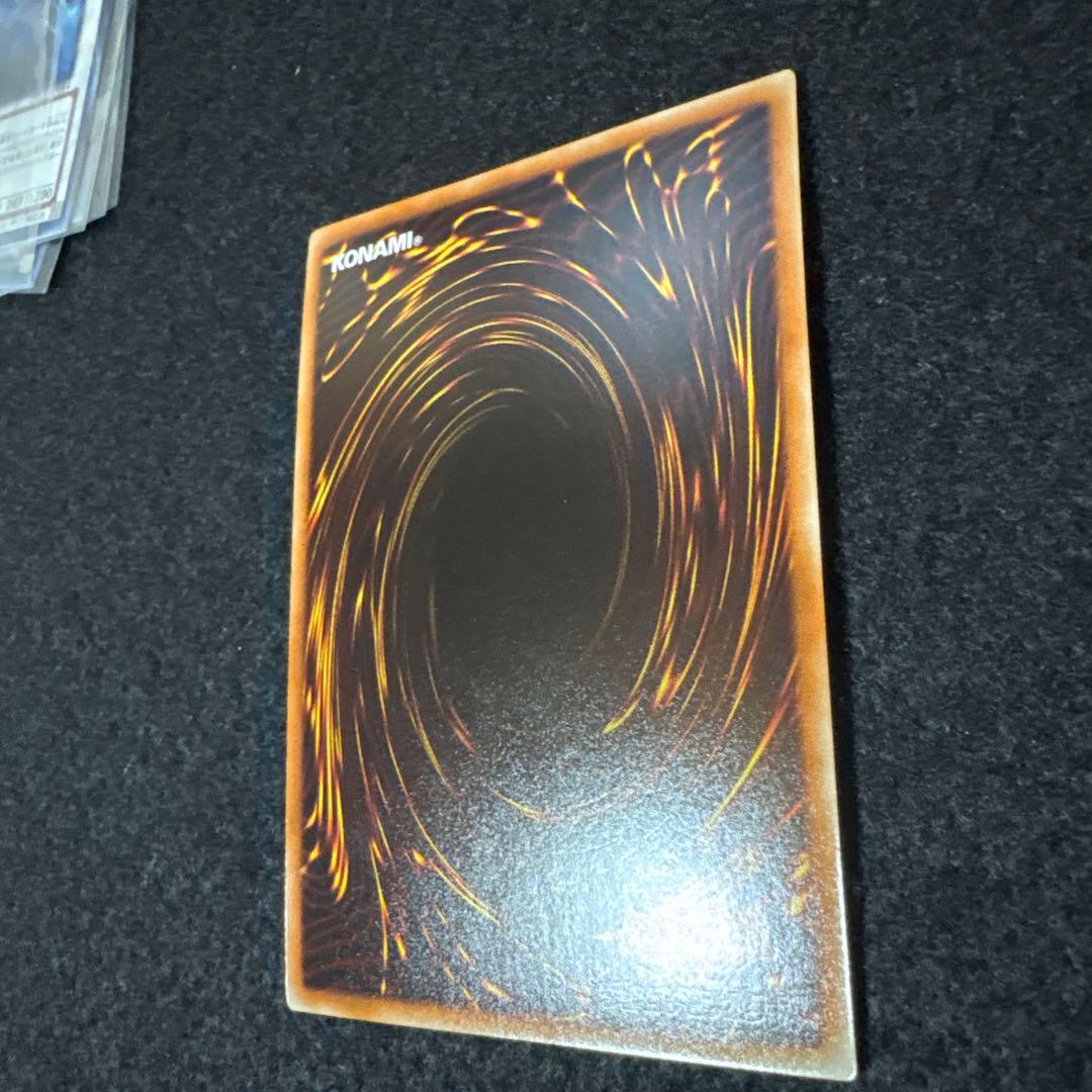 ナチュルビースト DTCシク