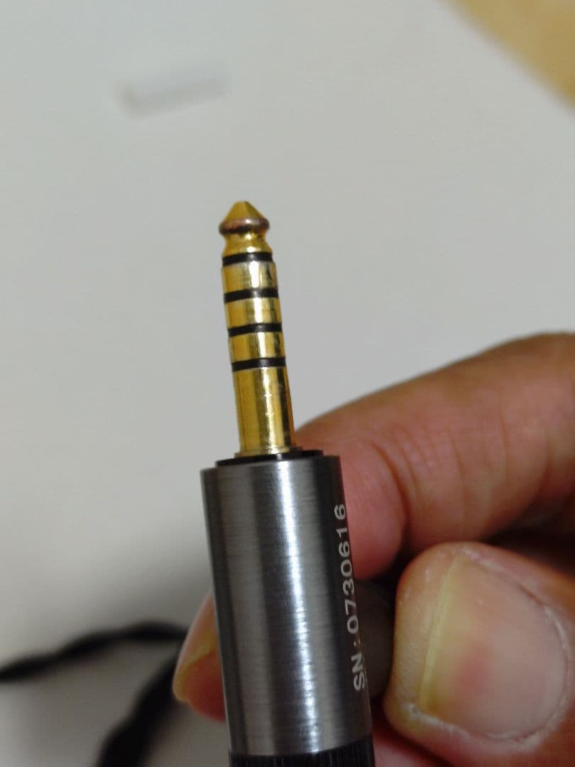 Oriolus Traillii Ti イヤホン