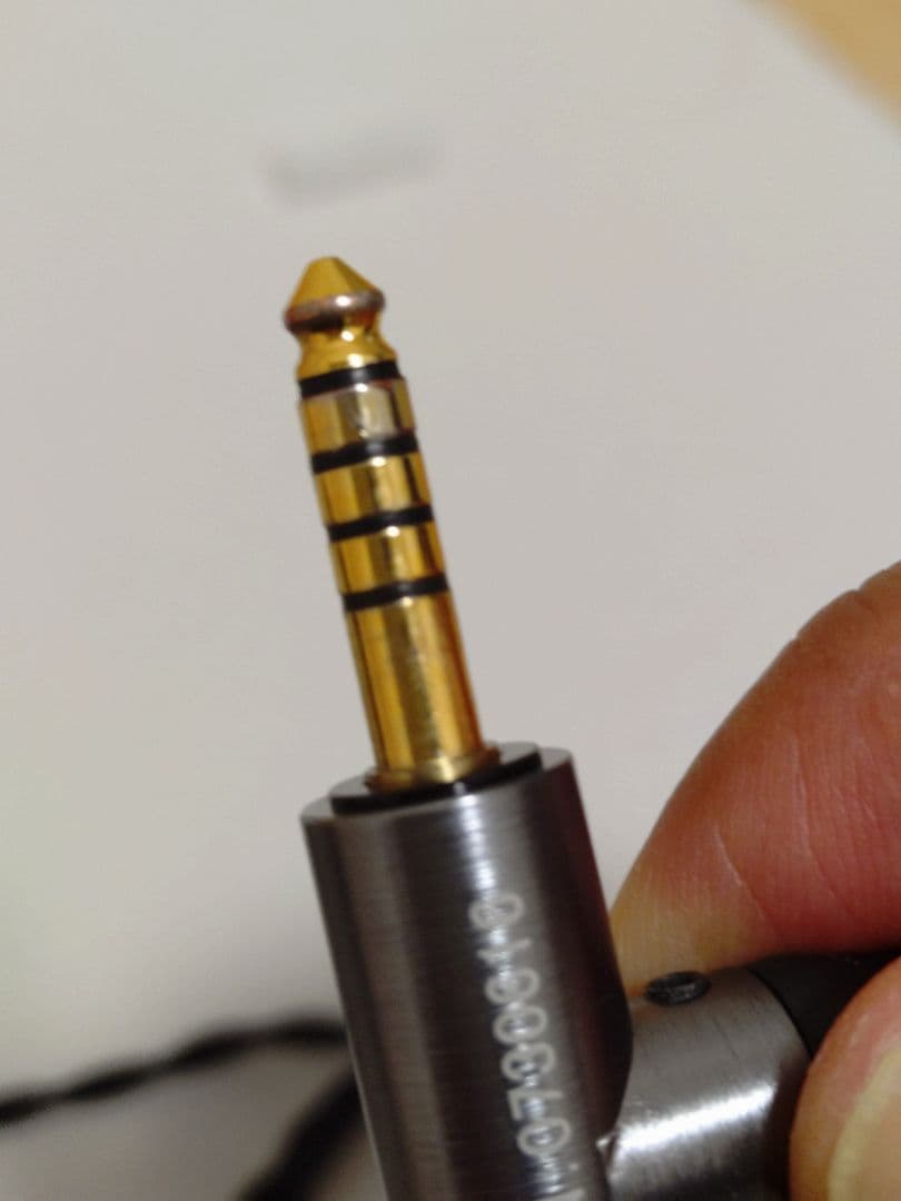 Oriolus Traillii Ti イヤホン