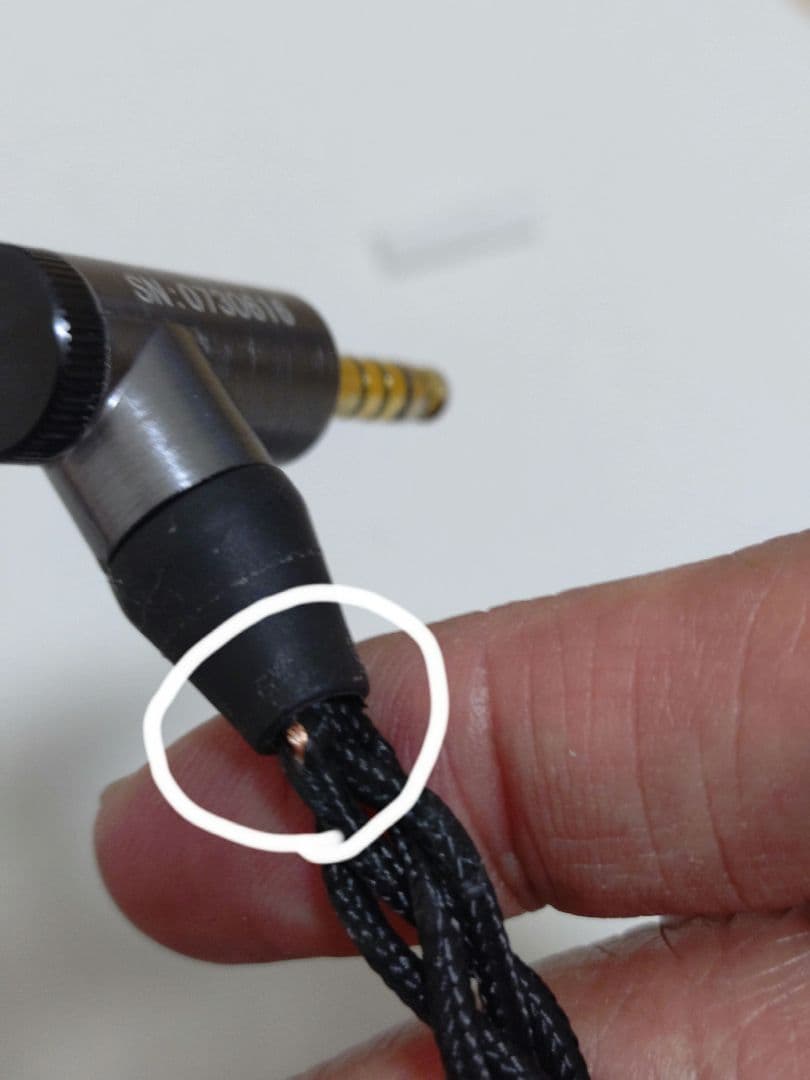 Oriolus Traillii Ti イヤホン