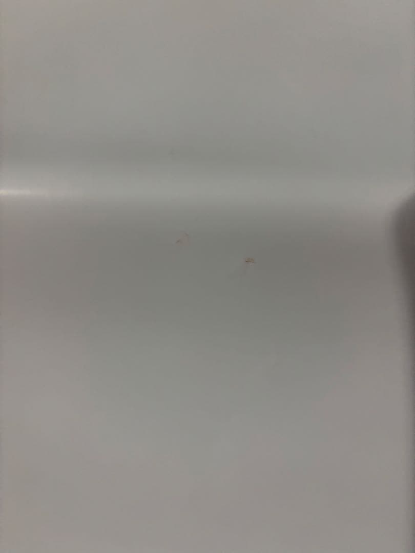 B2判映画ポスター　GHOST IN THE SHELL 攻殻機動隊