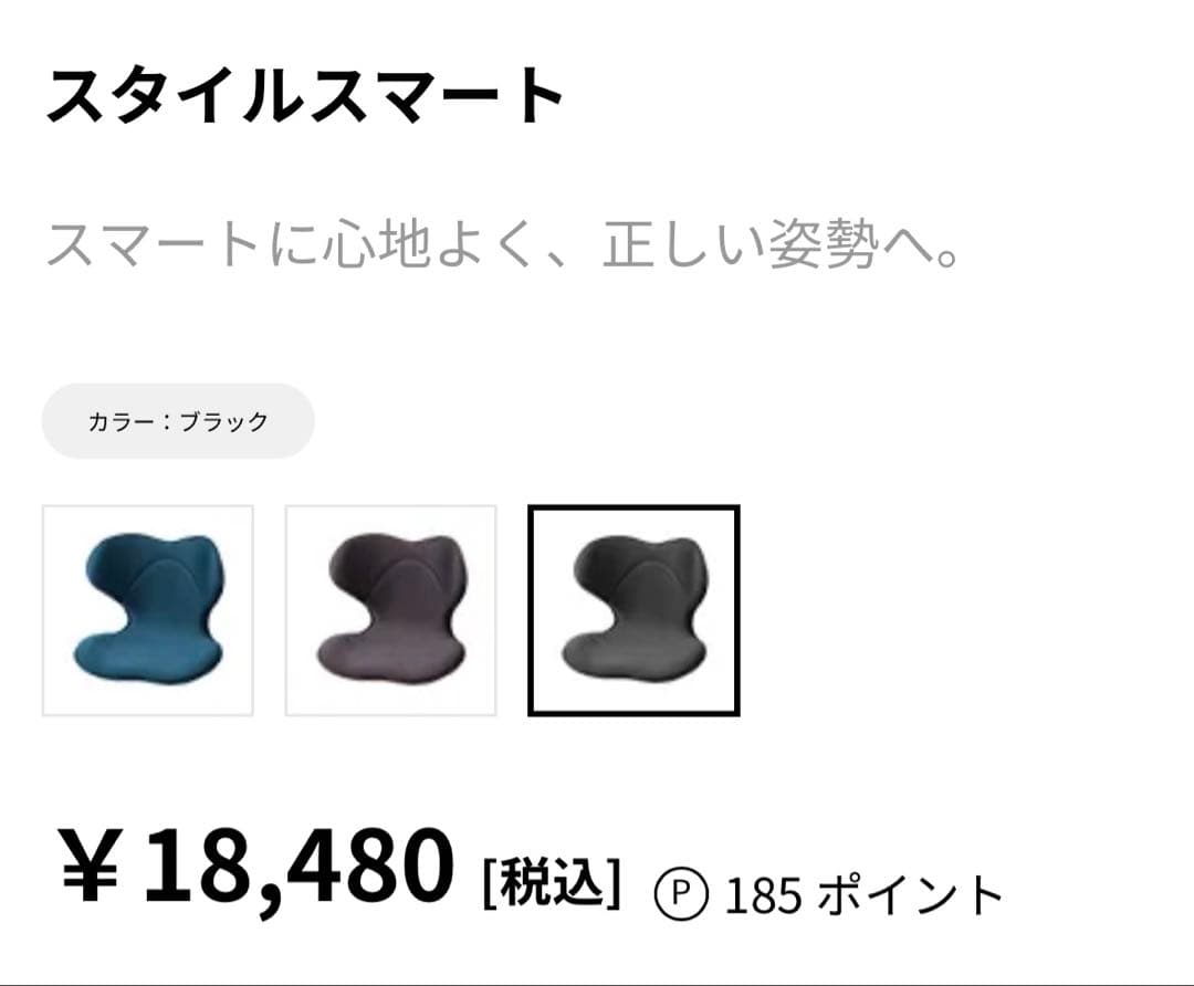 MTG スタイルスマート　StyleSMART 骨盤椅子