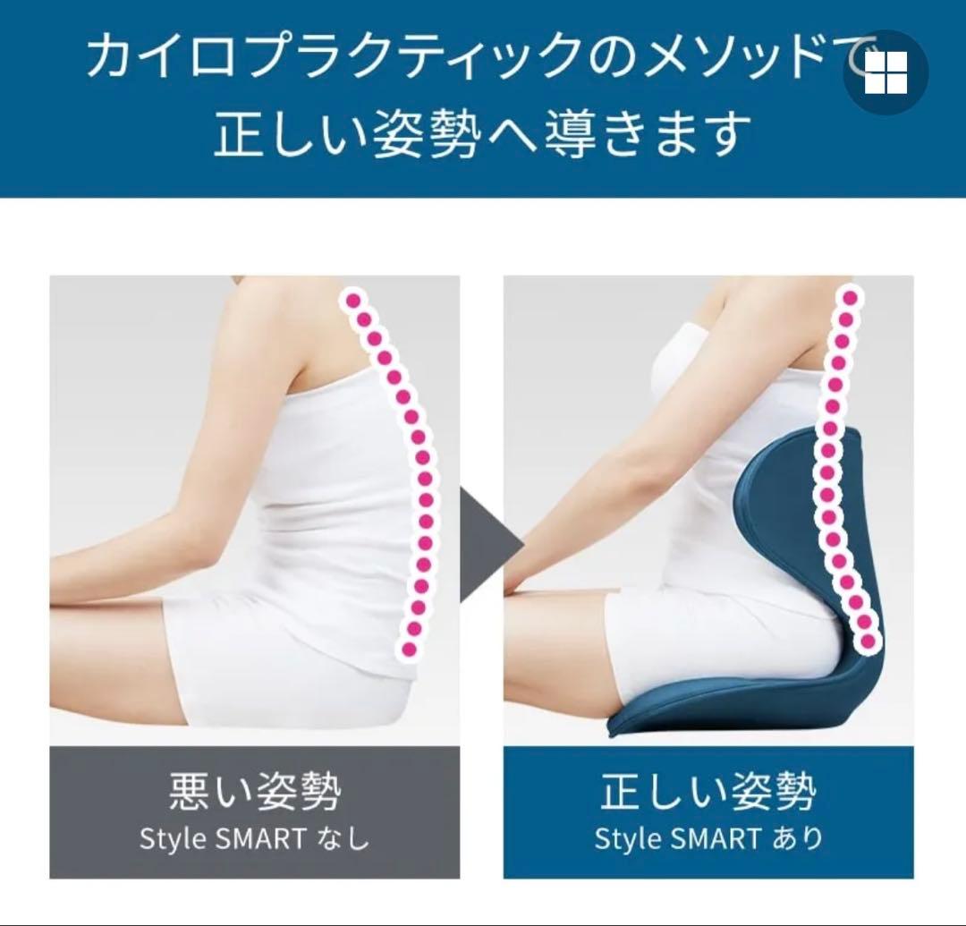 MTG スタイルスマート　StyleSMART 骨盤椅子