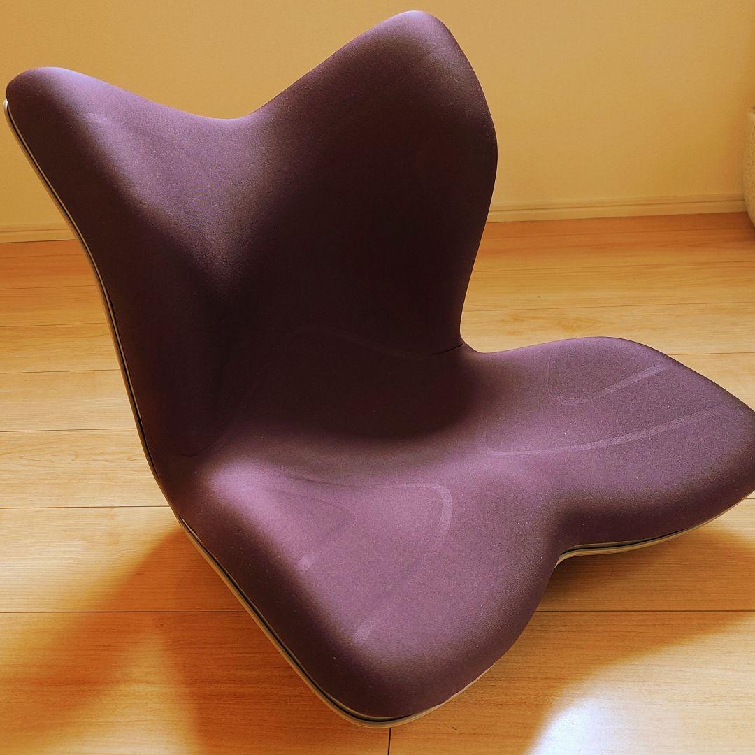 Style PREMIUM スタイルプレミアム 骨盤姿勢矯正クッション ブラウン