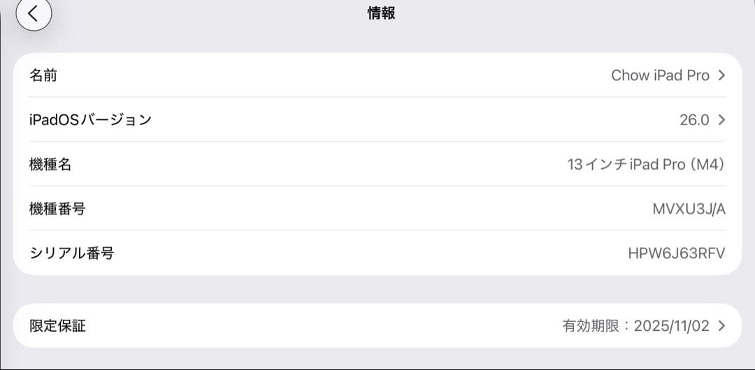 ゆめあと13インチiPad Pro M4 512GB セルラー