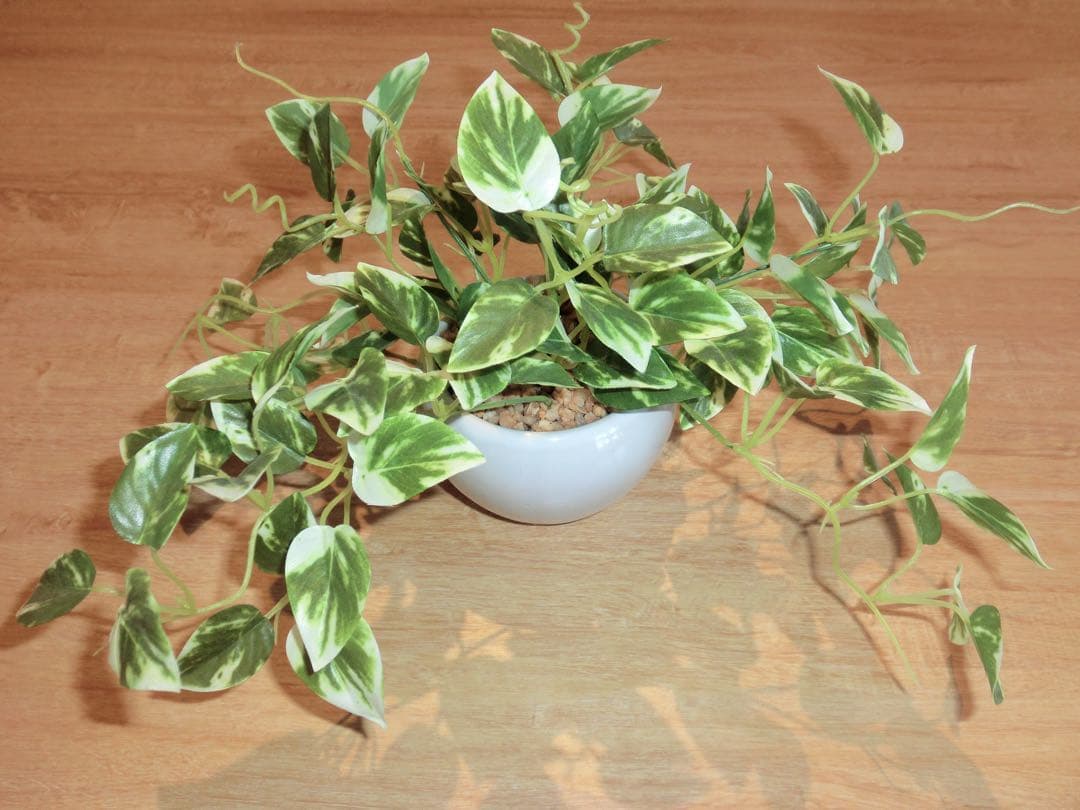 【✨美品✨】 CASIO EXILIM EX-ZR10 コンデジ 箱付き