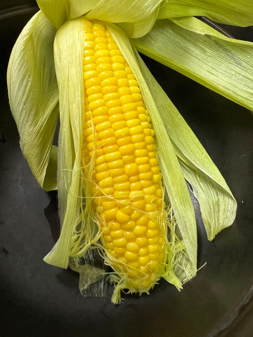 【新品】マイクロ波対策！電子レンジ専用　磁性鍋Lサイズ