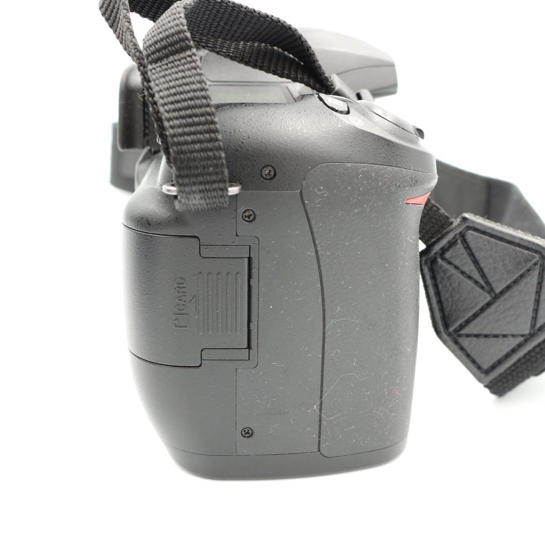 Nikon D50 ダブルズームセット　カメラバッグ