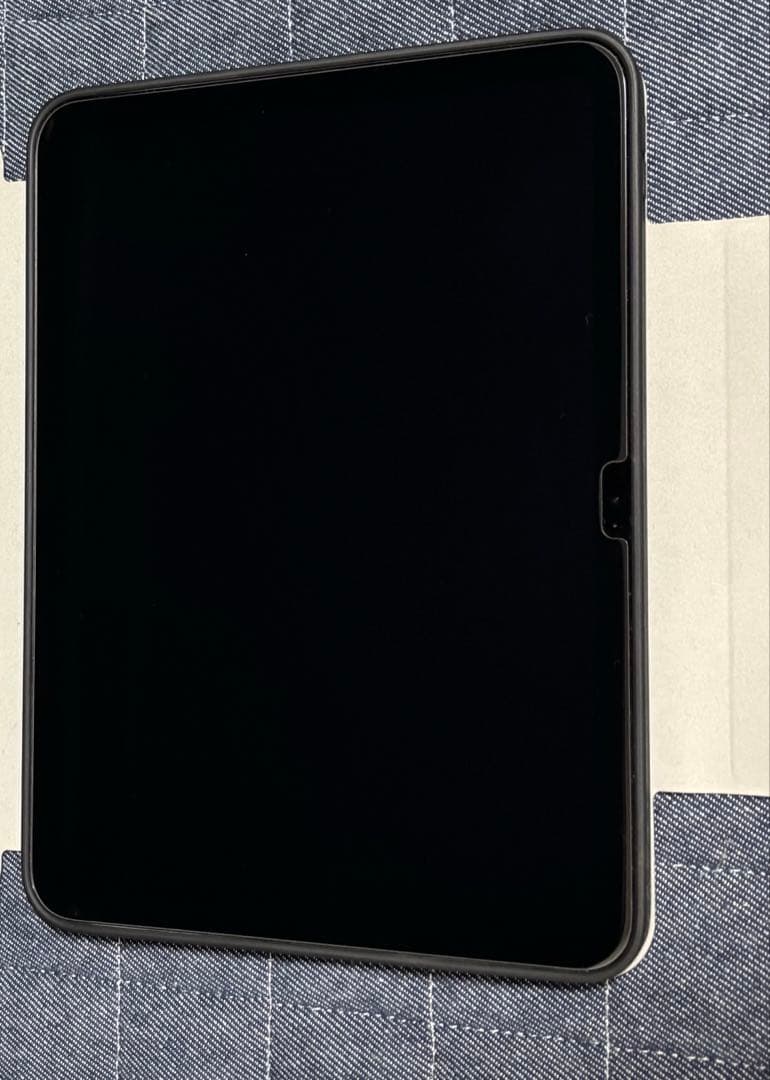 【美品 】iPad 第10世代 256GB ＋オプション