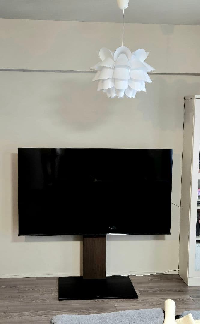 2025年製65インチ4K液晶テレビ