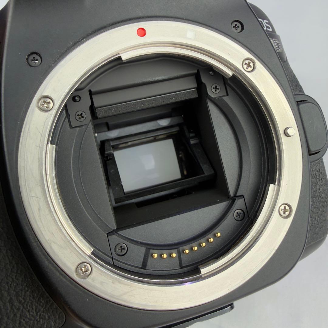 Canon EOS 80D カメラ レンズ2本セット