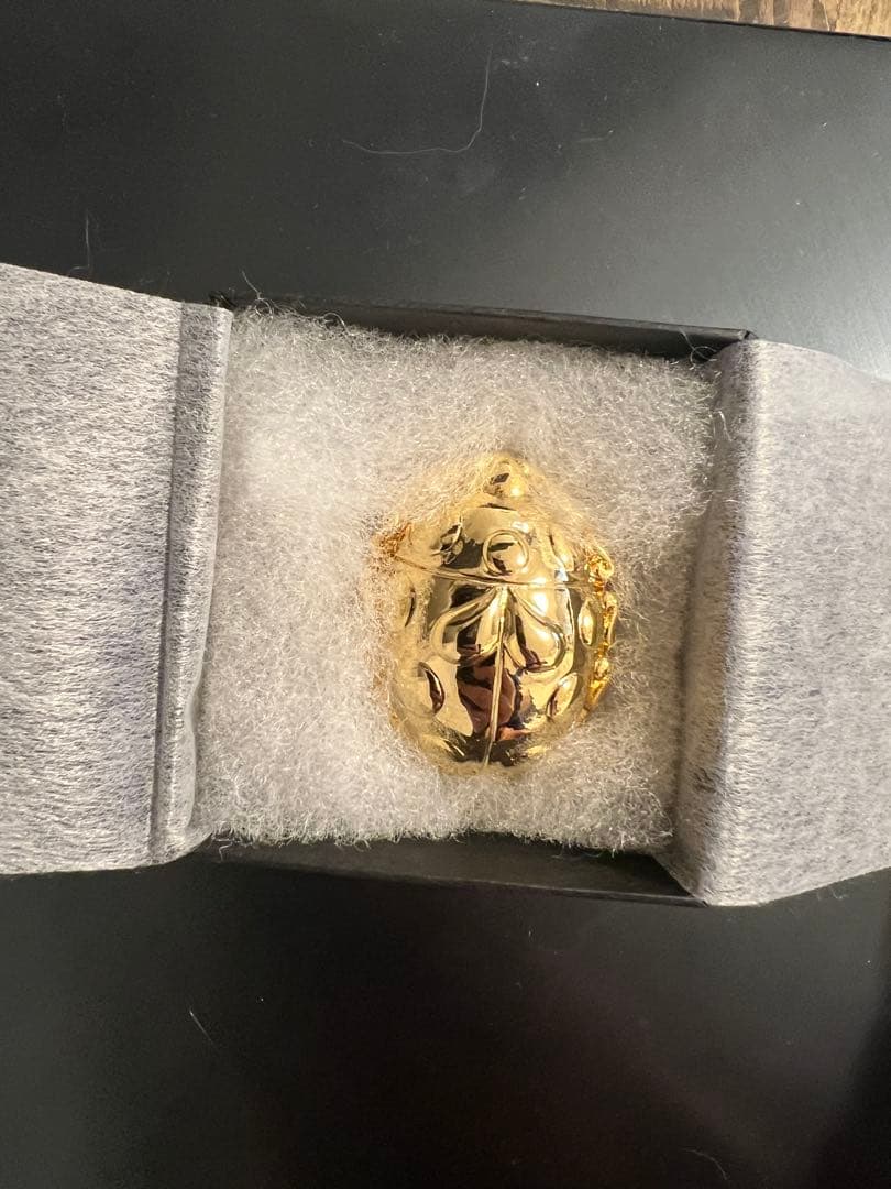 2個セット ジョジョ×ULTRA-VIOLENCE てんとう虫ブローチ 未使用