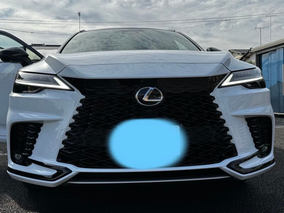 RX ラジエーターガーニッシュ 53141-48160-C0