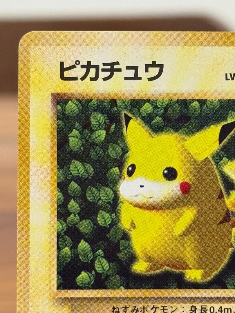 ピカチュウ 旧裏 すぐわかるポケモンカードの遊び方 光沢なし lvy 蔦