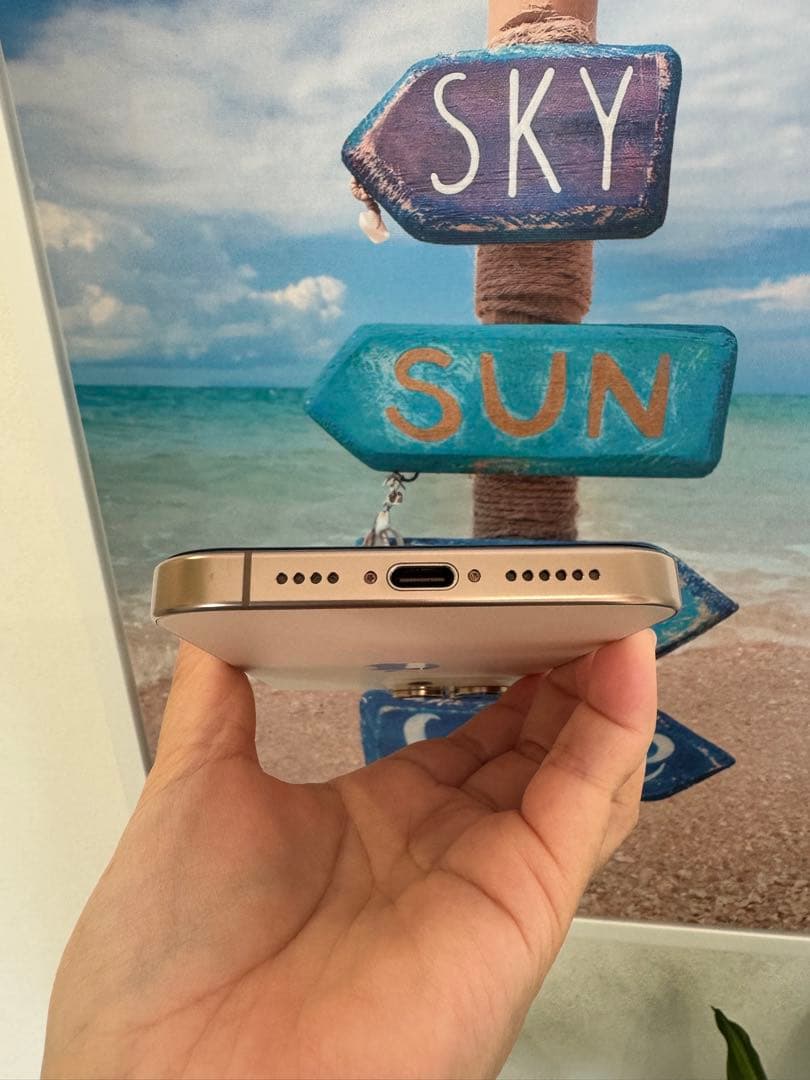 iPhone 16 Pro Max 256GB USA版