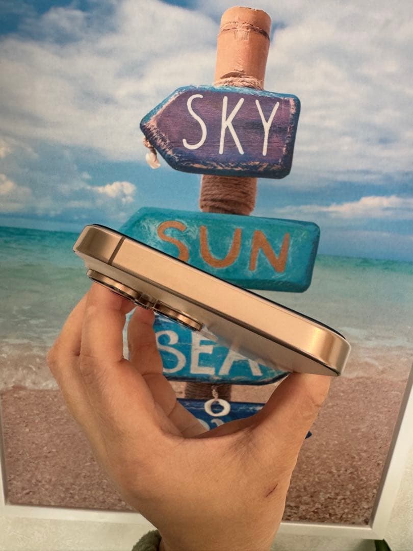 iPhone 16 Pro Max 256GB USA版