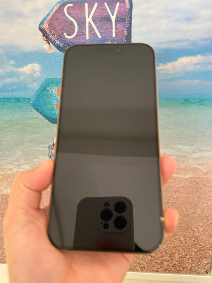 iPhone 16 Pro Max 256GB USA版