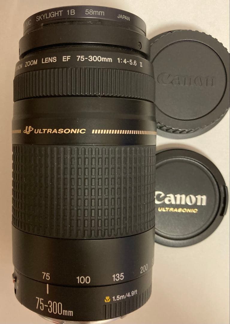 CANON ZOOM LENS EF 75-300mm 1：4-5.6 II