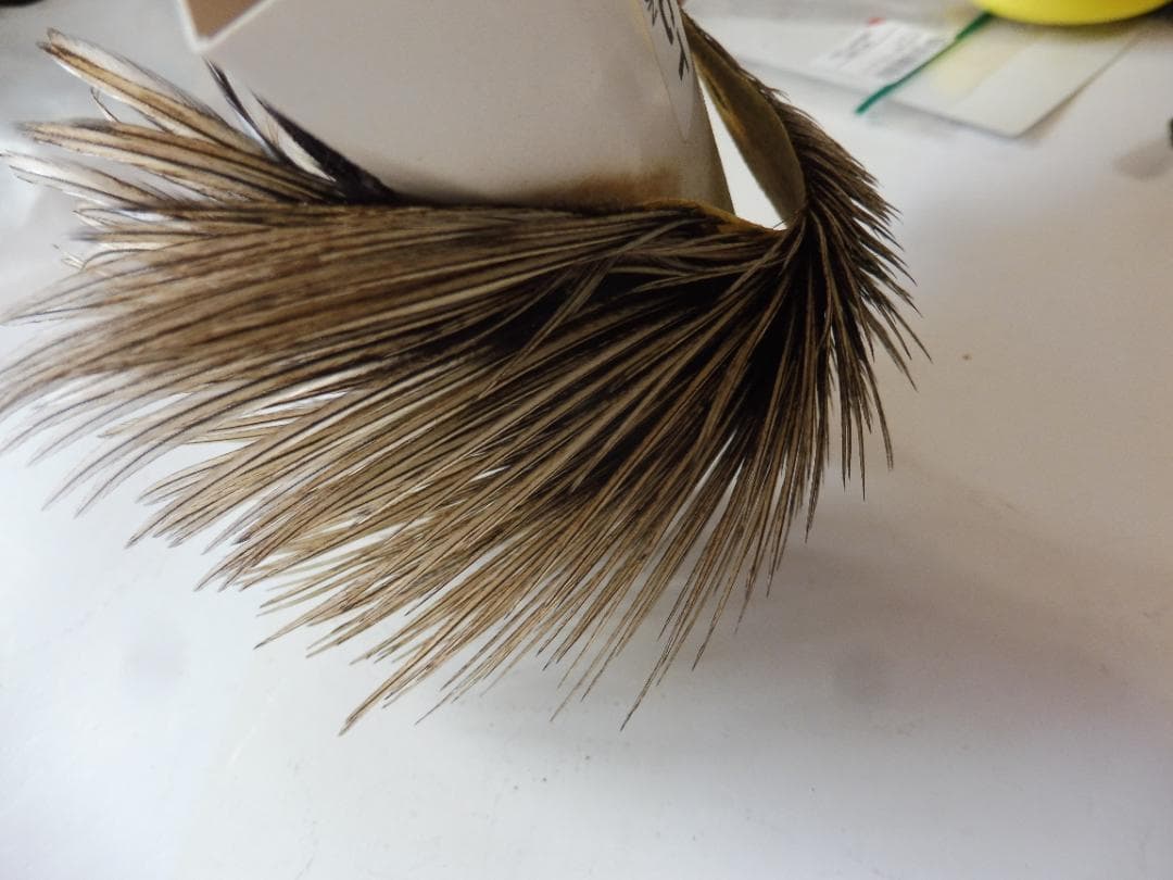 WHITING Silver ハックルケープ Golden Badger