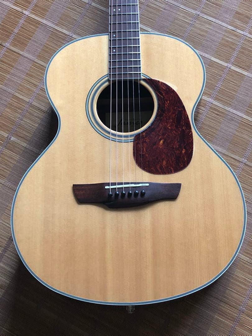 James ジェームス J450Aピックアップ