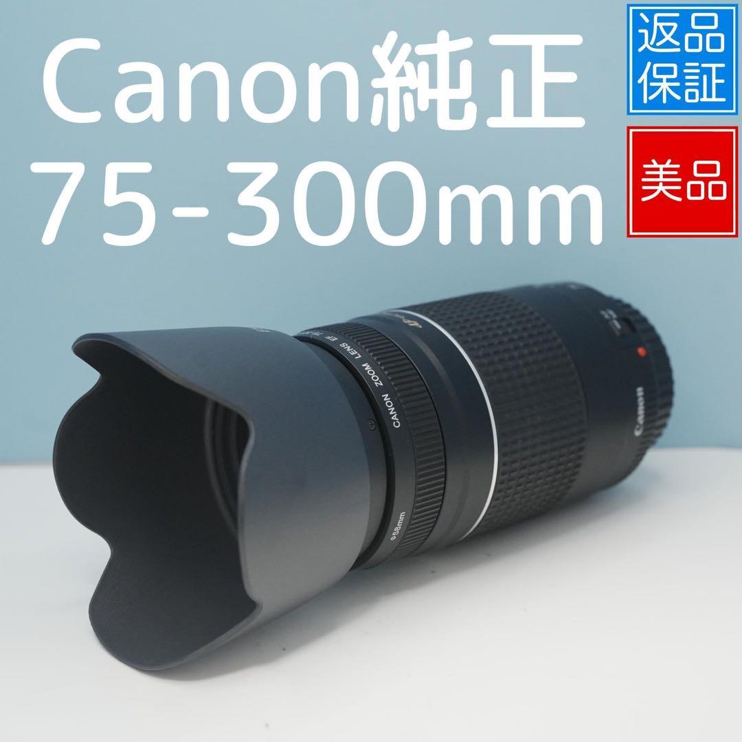 Canon純正 75-300mm 望遠レンズ 美品 a5054
