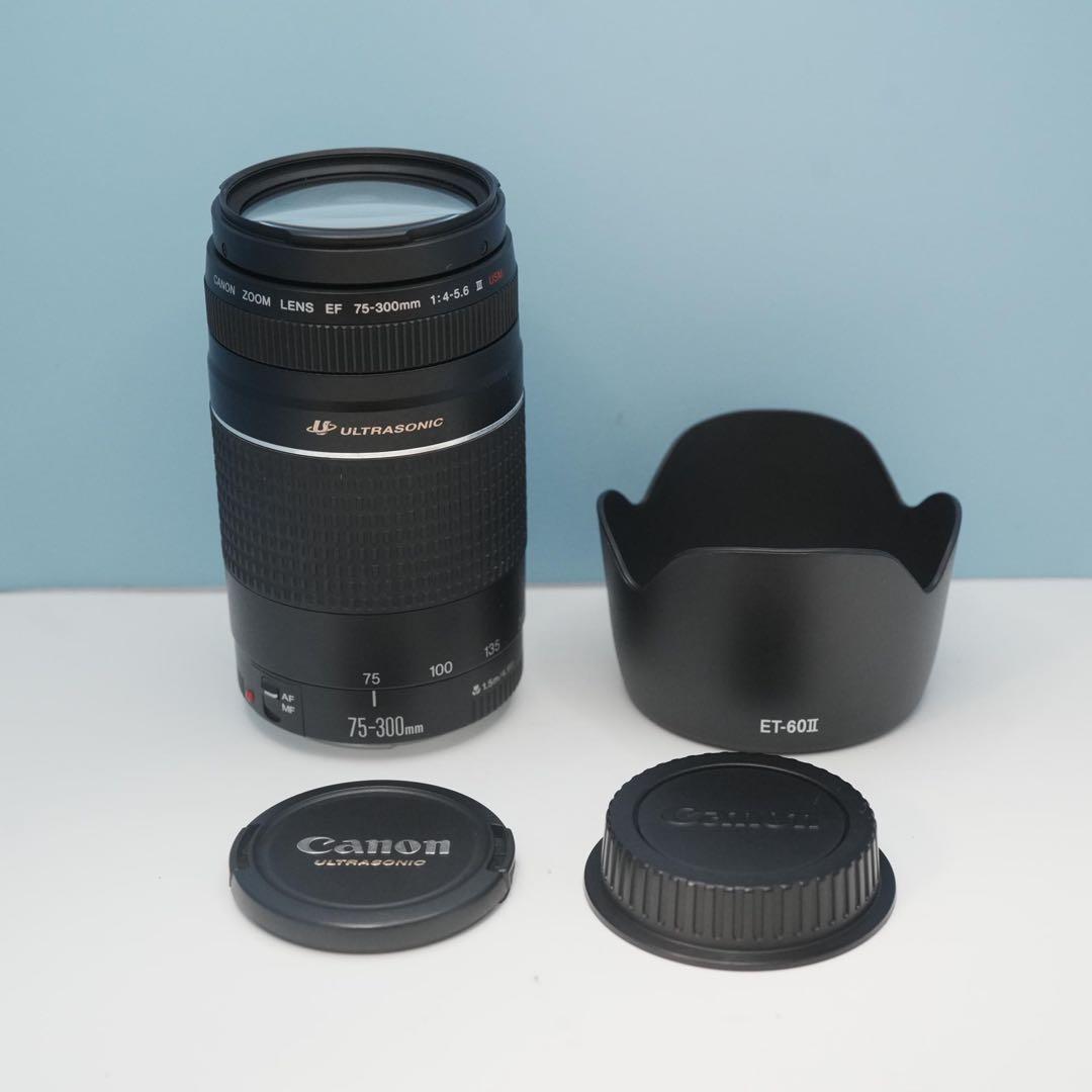 Canon純正 75-300mm 望遠レンズ 美品 a5054