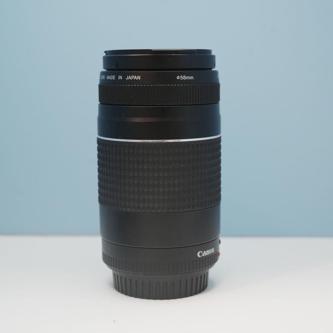 Canon純正 75-300mm 望遠レンズ 美品 a5054