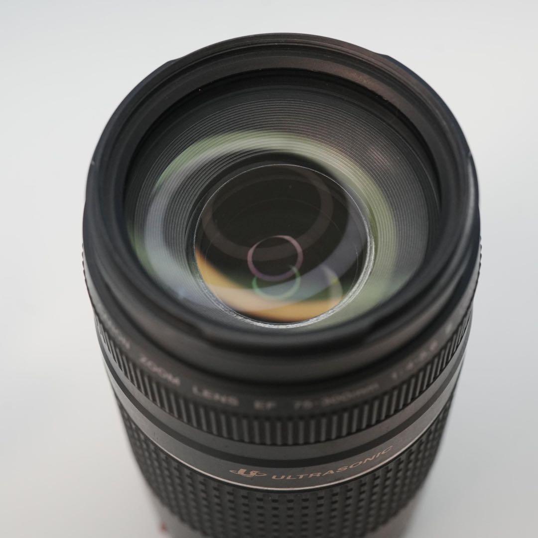 Canon純正 75-300mm 望遠レンズ 美品 a5054