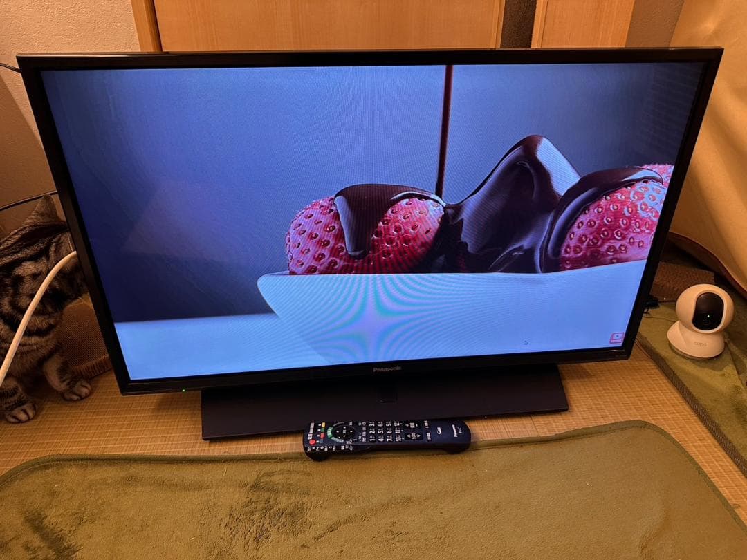 Panasonic　パナソニック 32型 テレビ TH-32F350 18年美品