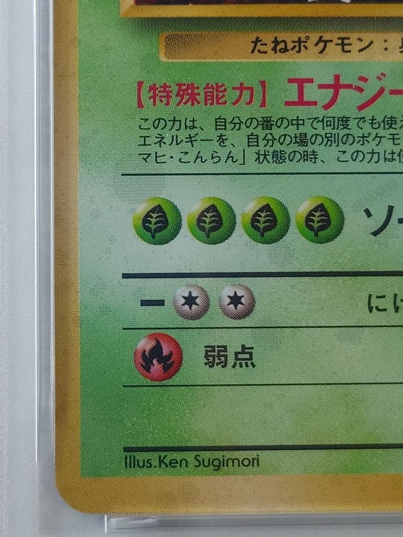 フシギバナ 旧裏 とりかえっこプリーズ PSA8