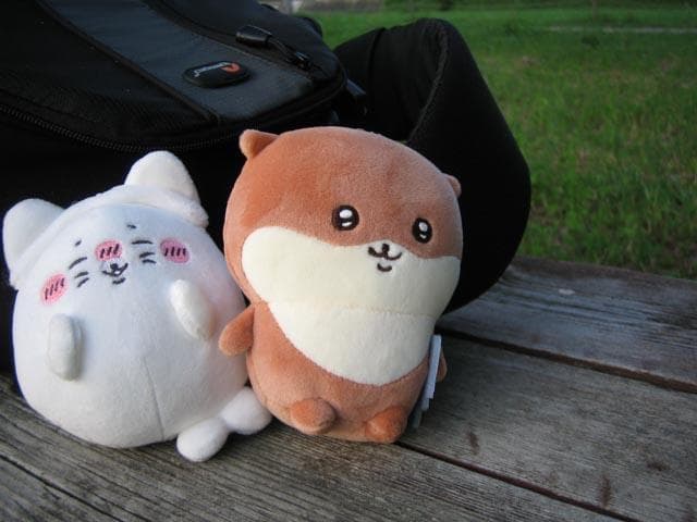 【動作確認済】Canon IXY DIGITAL L2 PC1108 スマホ転送